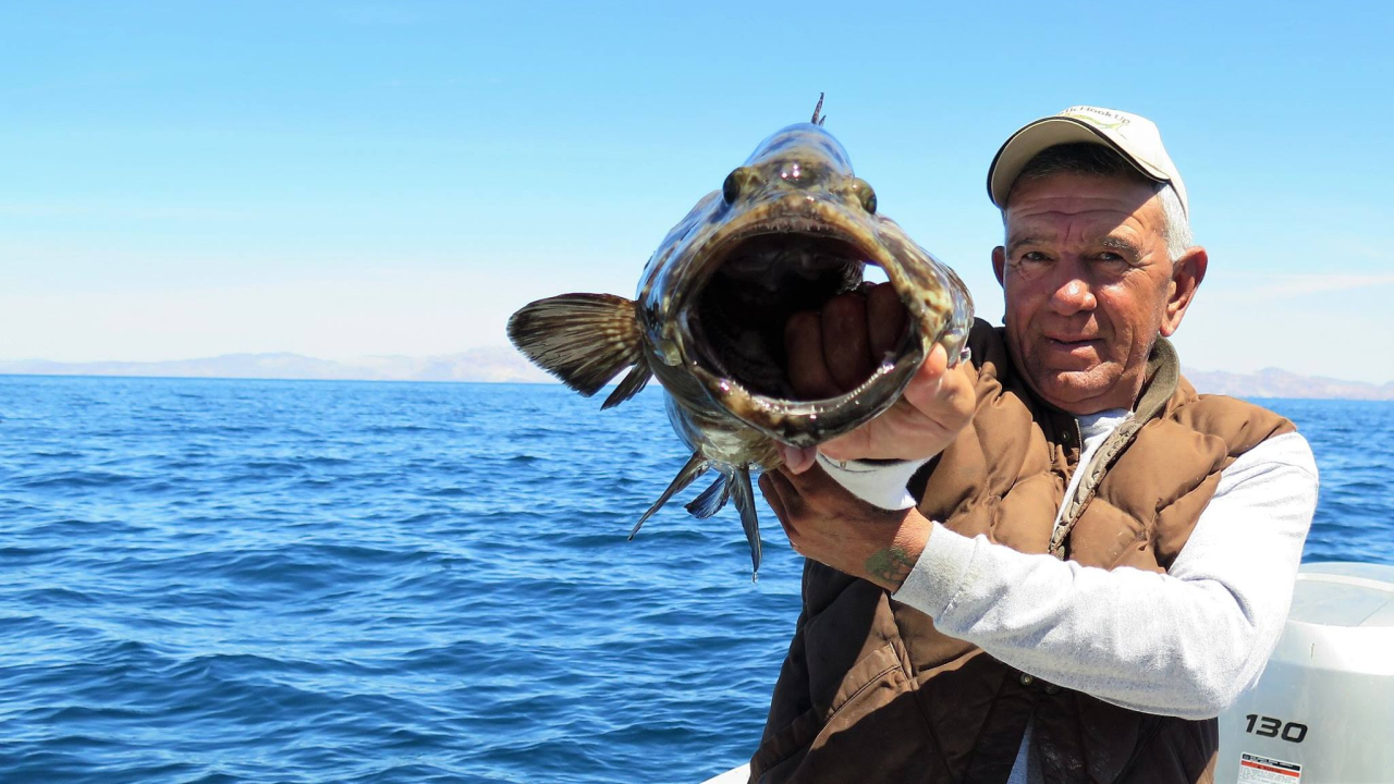 Sportfishing Officially Reopens in Baja California