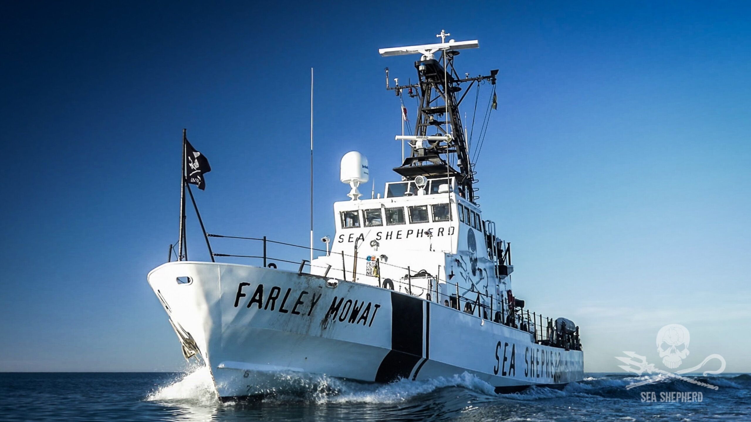 Sea Shepherd Fawley Mowat Sea of Cortez - Baja California Gulf - vaquita porpoise protection